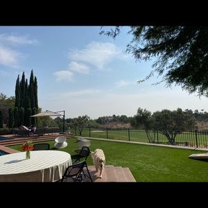 Meet your Posher, Taryn